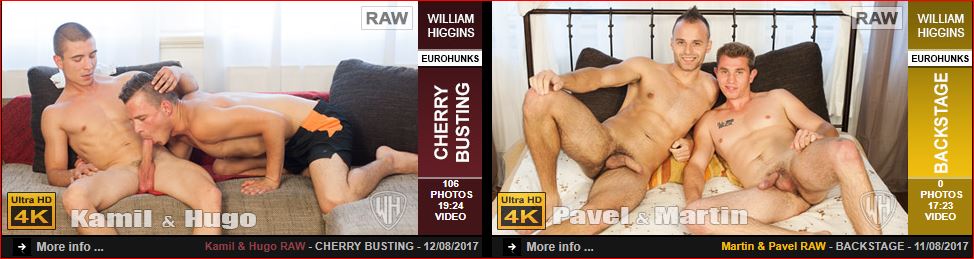 WilliamHigginsLatestGayPornScenes1 - Gay porn site William Higgins wins 5 star review